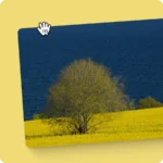 wordpress 6.9 Visual drag and drop