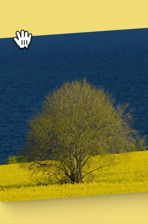 wordpress 6.9 Visual drag and drop