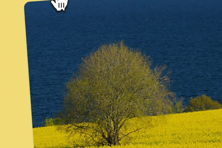 wordpress 6.9 Visual drag and drop